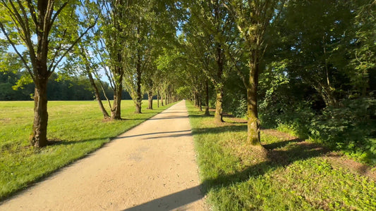 Virtual Cycle - Bietigheim Bissingen - Germany