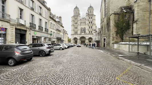Virtual Cycle - Dijon in Snow - France