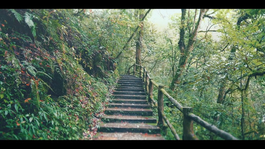 Virtual Cycle Rides - Tibet