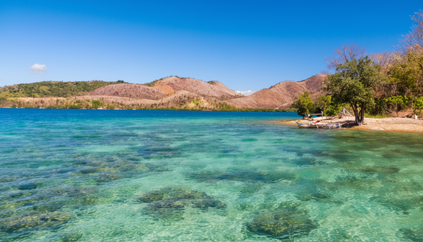 Virtual Forward Rowing - Palawan - Philippines