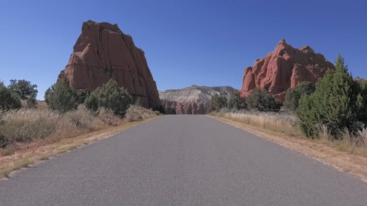 Virtual Nature Run – National Parks & State Parks, USA