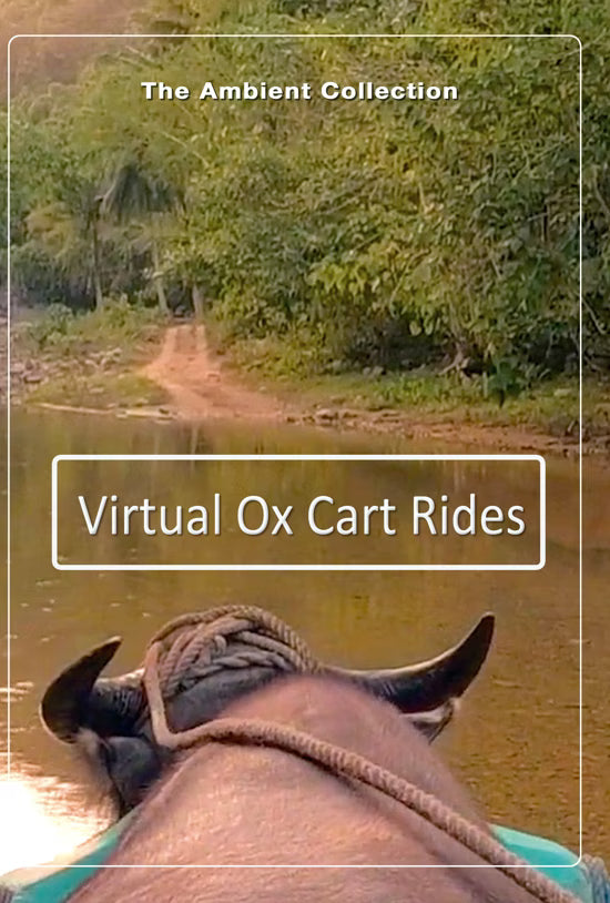 Virtual Ox Cart Ride in Rural Mindoro, Philippines with Binaural Sounds