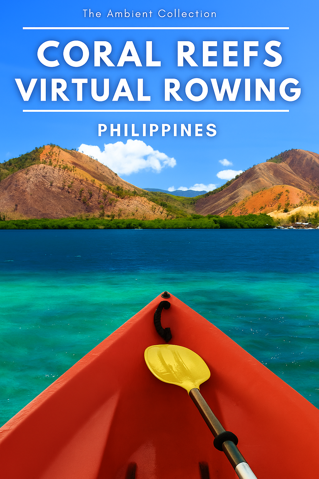 Virtual Rowing - Along Mangroves and float over Coral Reefs and Sea Grass Gardens