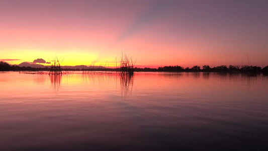 Virtual Rowing - Along Oysters Farms in Golden Light and Spectacular Sunset with Sound of Water and Crickets