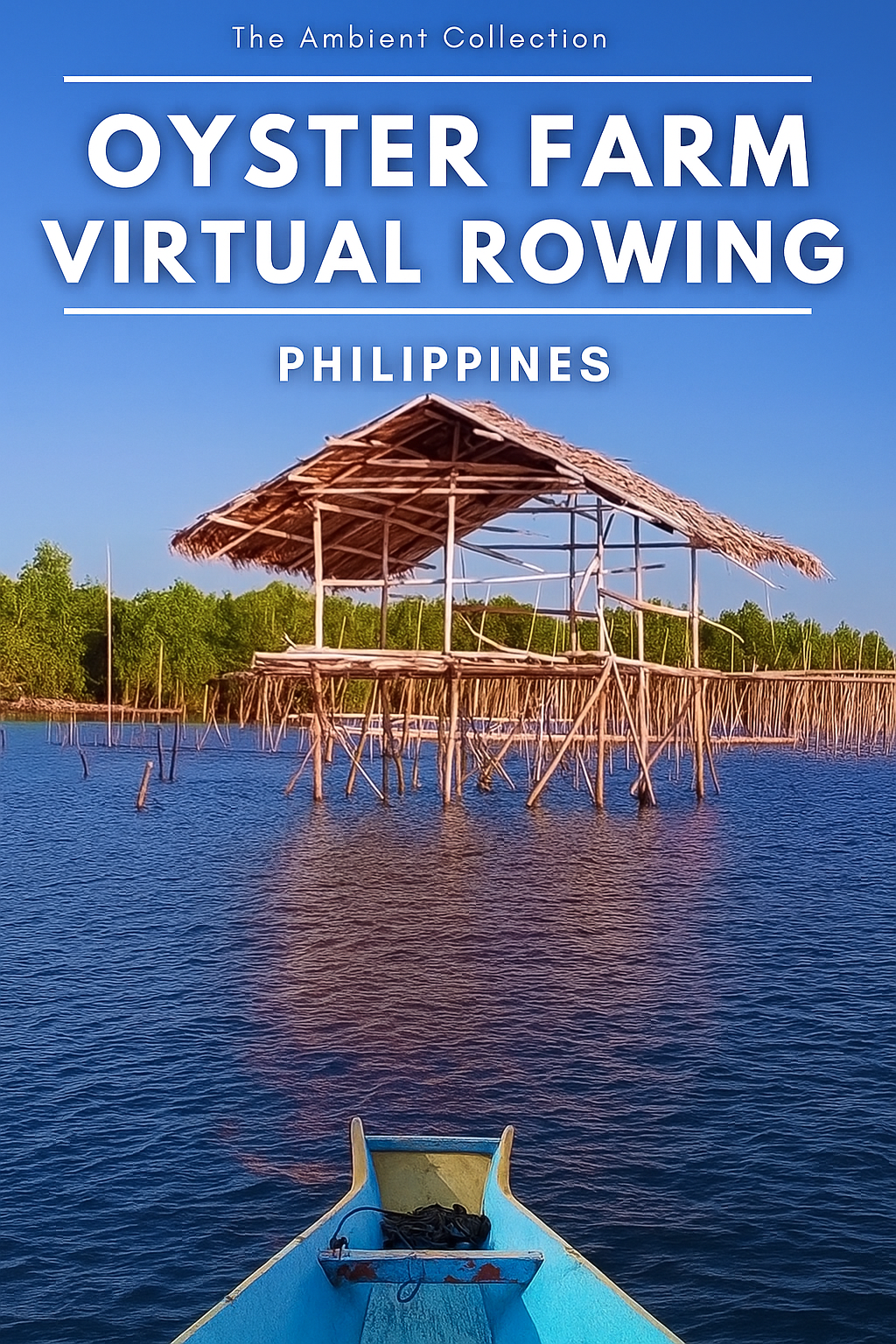 Virtual Rowing - Along Oysters Farms in Golden Light and Spectacular Sunset with Sound of Water and Crickets