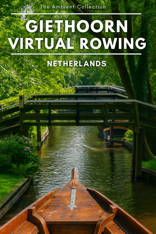 Virtual Rowing - Giethoorn - The Netherlands