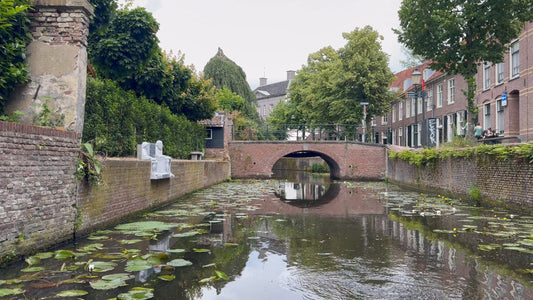 Virtual Rowing - Green Oasis - Amersfoort - Netherlands