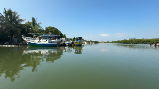 Virtual Rowing - Negombo Harbour and Lagoon - Sri Lanka