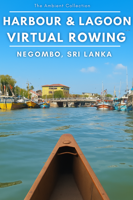 Virtual Rowing - Negombo Harbour and Lagoon - Sri Lanka