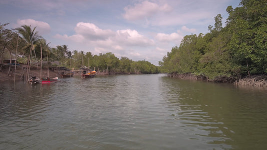 Virtual Rowing - Phang Nga Bay - Thailand