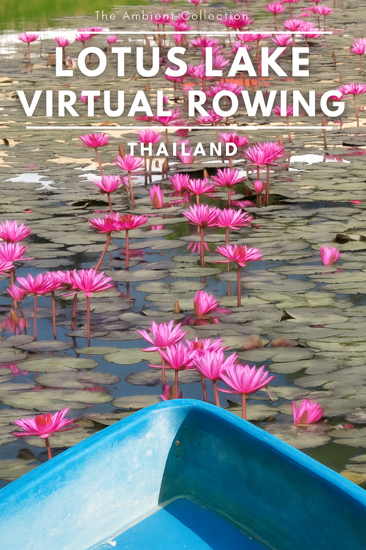 Virtual Rowing - Red Lotus Lake - Udon Thani - Thailand - World Strangest Lake