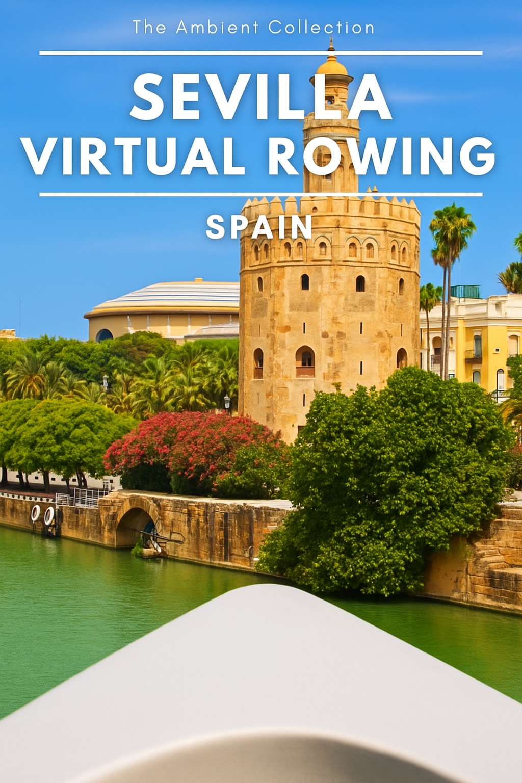 Virtual Rowing - Sevilla - Spain
