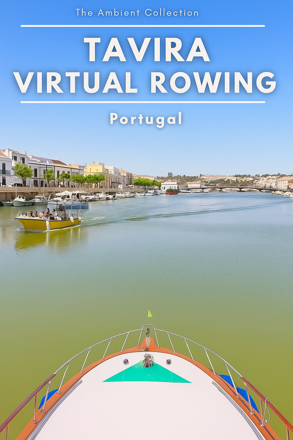Virtual Rowing - Tavira - Portugal