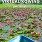 Virtual Rowing - Tropical Lake with Birds and Buffalos - with Binaural and Natural Sounds