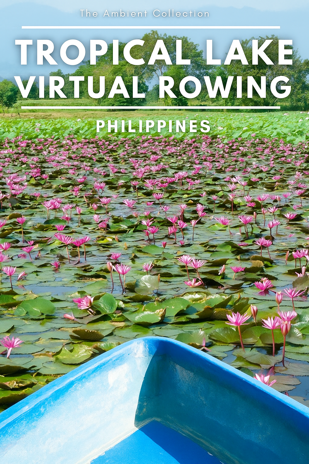 Virtual Rowing - Tropical Lake with Birds and Buffalos - with Binaural and Natural Sounds
