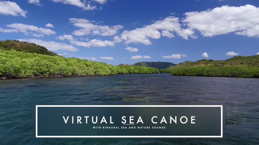 Virtual Rowing - Tropical Paradise Islands with Binaural and Natural Sounds