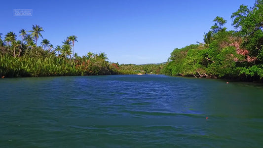 Virtual Rowing - Tropical Rivers with Rainforest and Lakes and Water Sounds