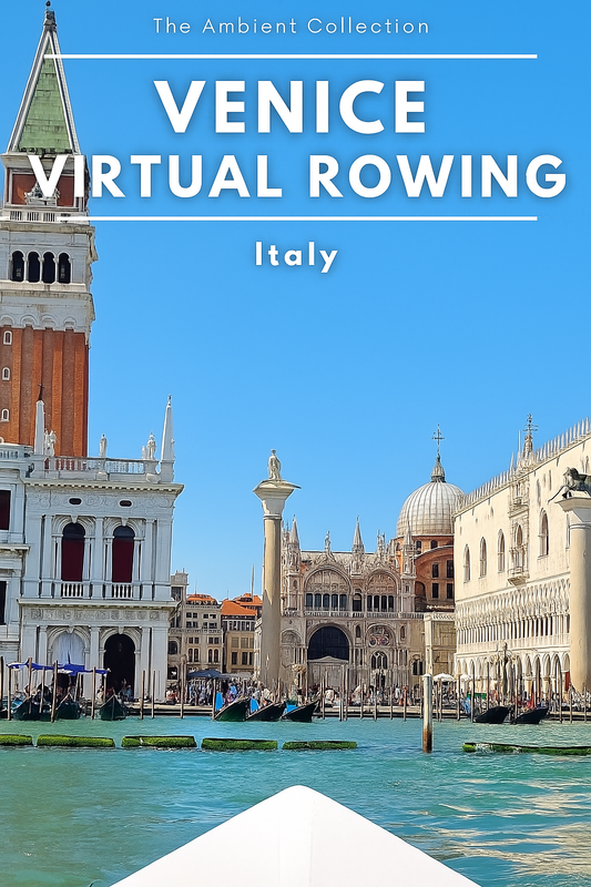 Virtual Rowing - Venice - Italy - Front View