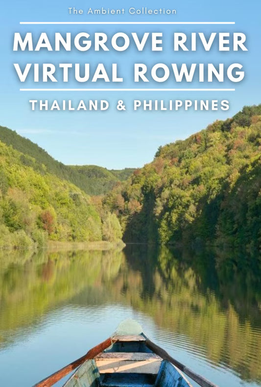 Virtual Rowing - Mangrove Journey - Tropical Waterfalls with Nature Sounds