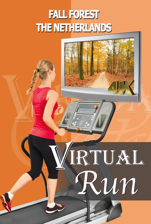 Virtual Run - Fall Forest - The Netherlands