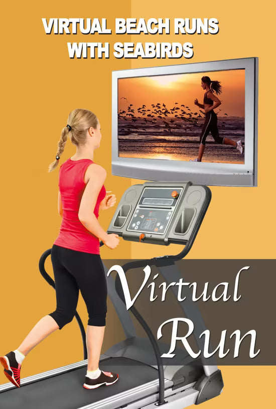 Virtual Beach Runs with Seabirds and Ocean Waves Sounds from around the Around the World