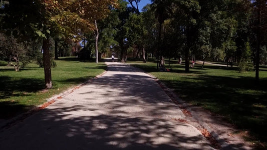 Virtual Run – Madrid, Spain