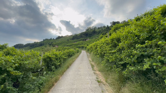 Virtual Run – UNESCO Prosecco Route, Italy