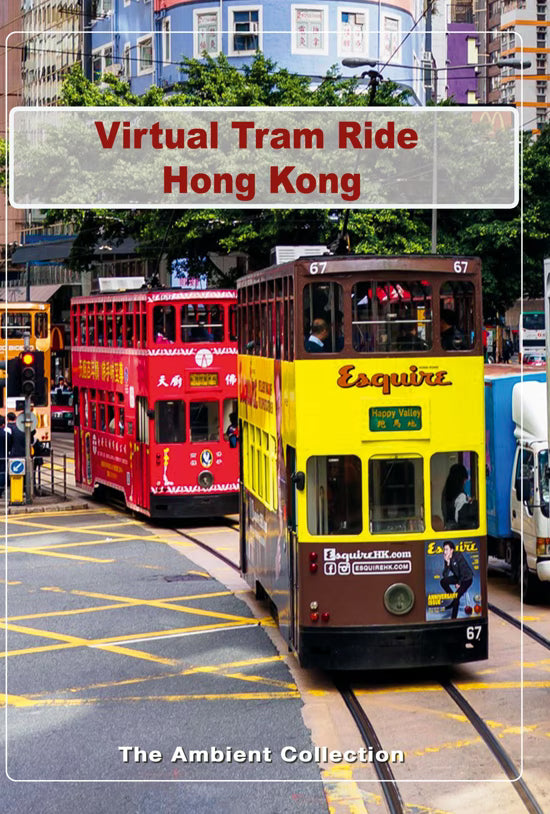 Virtual Ride - Hong Kong