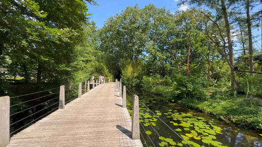 Virtual Walk - Apenheul - The Netherlands