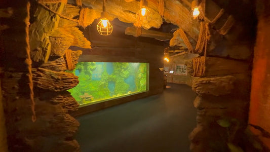 Virtual Walk - Aquarium World - Penang - Malaysia