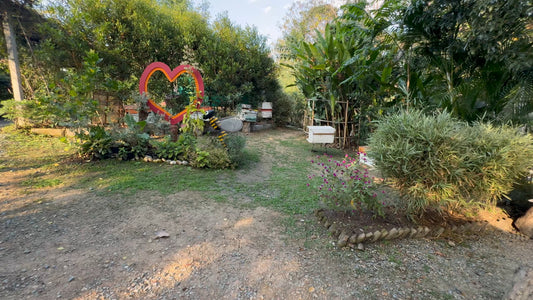 Virtual Walk - Bee Farm and Butterfly Garden