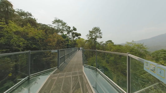 Virtual Walk - Canopy Walk Tropical Rainforest