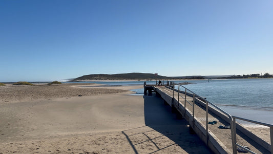 Virtual Walk - Chinamans Beach with Pelicans Australia