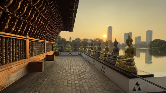 Virtual Walk - Colombo - Sri Lanka