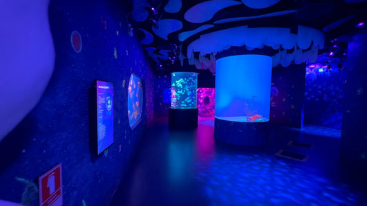 Virtual Walk - Sea Life - Bangkok - Thailand