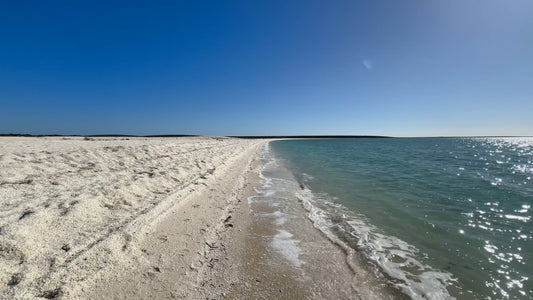 Virtual Walk - Shell Beach - Wulgada - Australia