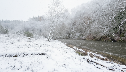 Virtual Walk - Snow Walk in Ardennes - Belgium 1