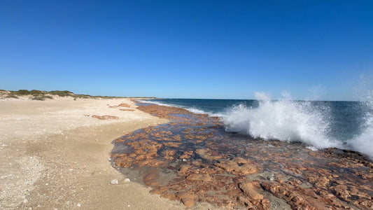 Virtual Walk - Turtle Rookery Beach - Western Australia