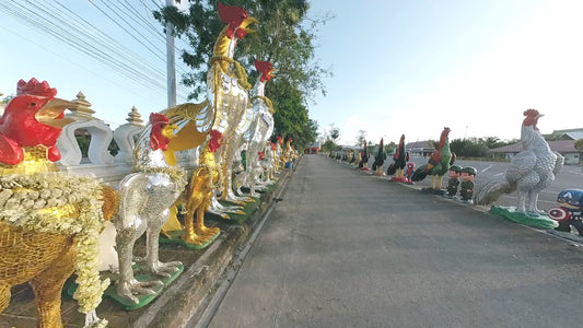 Virtual Walk - Wat Phra Mahathat - Nakhon Si Thammarat - Thailand