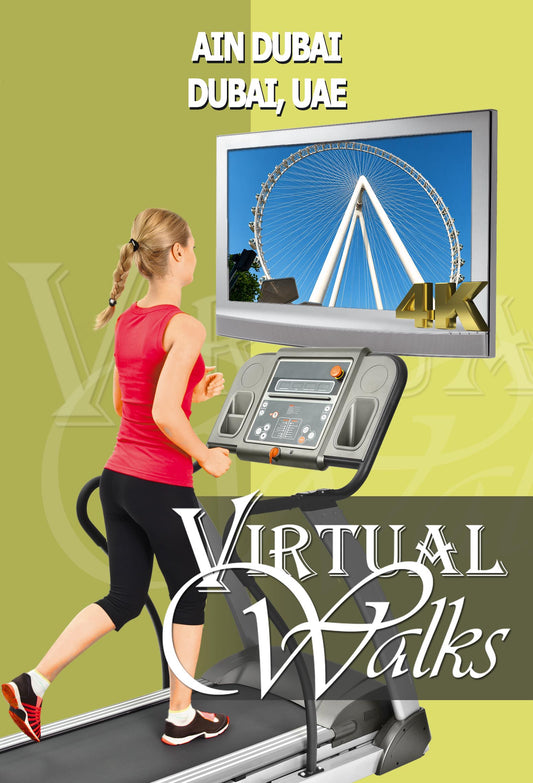 Virtual Walk - Ain Dubai - UAE