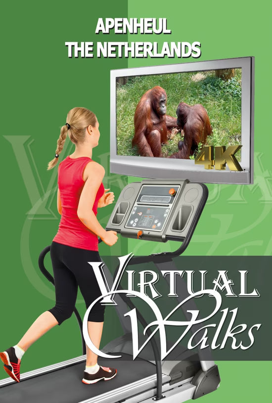 Virtual Walk - Apenheul - The Netherlands
