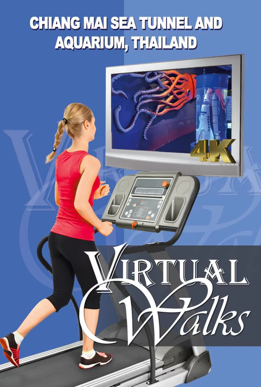 Virtual Walk - Chiang Mai Sea Tunnel and Aquarium - Thailand
