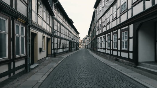 Virtual Walk - Historic Valleys - Forest and Coastal Towns - Germany