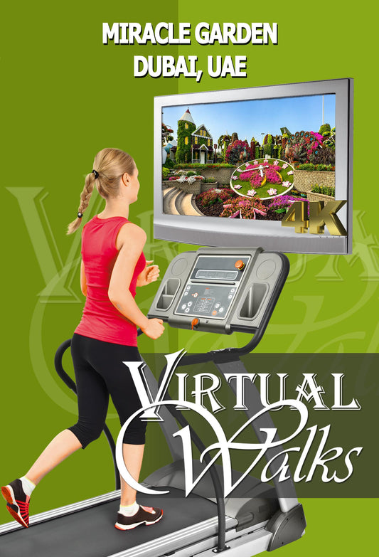Virtual Walk - Miracle Garden - Dubai - UAE