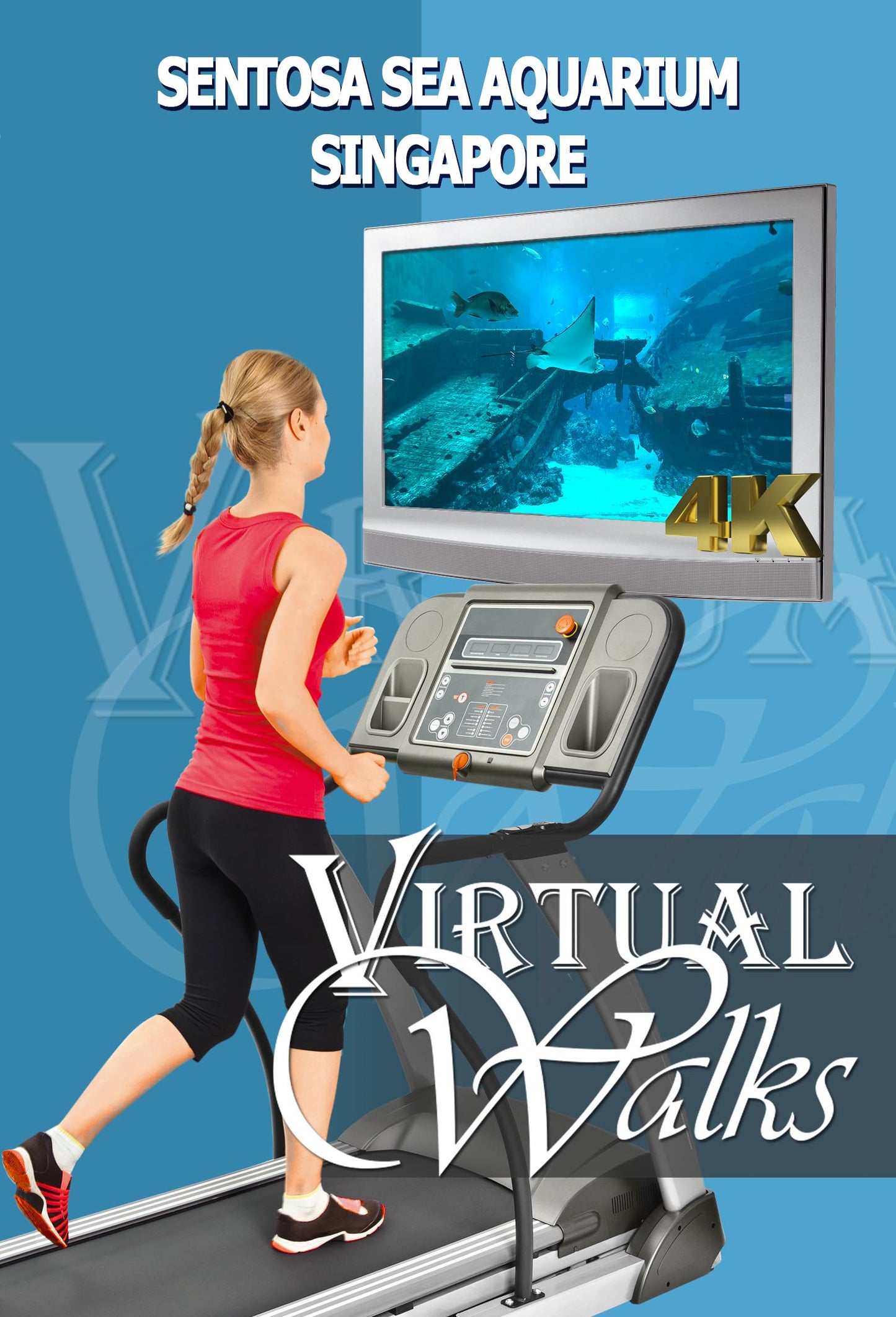Virtual Walk - Sentosa SEA Aquarium - Singapore