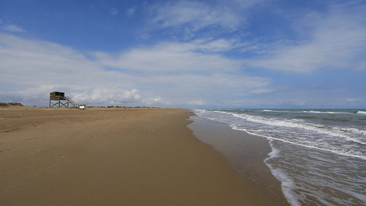 Virtual Walk – Mediterranean Beach with Seabirds and Waves, Spain