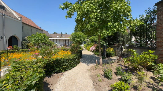 Virtual Walk - Nijmegen - The Netherlands