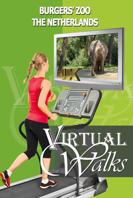 Virtual Walk - Burgers'  Zoo - The Netherlands