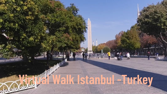 Virtual Walks - Istanbul Turkey