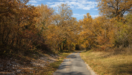 Virtual Walks - South of France the Provence Region in Les-Baux-de-Provence